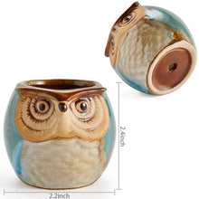Carica l'immagine nel visualizzatore di Gallery, SUN-E 6.35 cm Gufo vaso ceramica smaltata Base Set Succulente Vaso per... - Ilgrandebazar