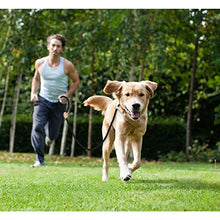 Carica l'immagine nel visualizzatore di Gallery, UEETEK 120CM Guinzaglio per la formazione del cane, resistente al... - Ilgrandebazar