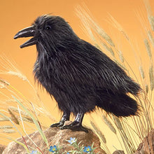 Carica l'immagine nel visualizzatore di Gallery, Folkmanis Puppets 2430 - Corvo - Ilgrandebazar