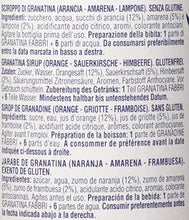 Carica l'immagine nel visualizzatore di Gallery, Fabbri Sciroppo Granatina 560ml - [confezione da 3]