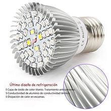 Carica l'immagine nel visualizzatore di Gallery, Piante Lampada a LED, 4 pezzi 40W E27 Grow Bulbs per Semina, Crescita, 40w*4 - Ilgrandebazar
