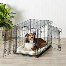 Carica l'immagine nel visualizzatore di Gallery, AmazonBasics - Gabbia in metallo pieghevole per cani, Portiera Doppia, 91 cm