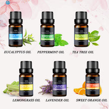 Carica l'immagine nel visualizzatore di Gallery, Olio Essenziale Set, Joylink Aromaterapia Biologici Puri... - Ilgrandebazar