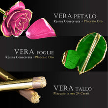 Carica l'immagine nel visualizzatore di Gallery, FORGIFTING Fiore di Vera Rosa Placcata con Oro 24K, Rose Conservate - Ilgrandebazar