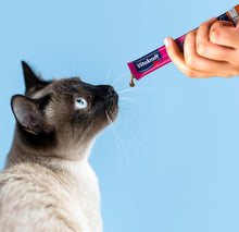 Carica l'immagine nel visualizzatore di Gallery, Vitakraft Vitakraft Liquid Snack liquido per Gatto, Salmone e Omega, 6 x 15g