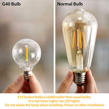 Carica l'immagine nel visualizzatore di Gallery, OxyLED Catene luminose,[LED Versione] G40 7.62metri 12 G40-led-12pcs - Ilgrandebazar