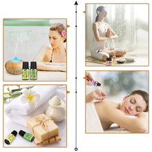 Carica l'immagine nel visualizzatore di Gallery, Oli Essenziali per Diffusori Top 6 Set - Aromaterapia Olio Essenziale Clear - Ilgrandebazar