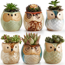 Carica l'immagine nel visualizzatore di Gallery, SUN-E 6.35 cm Gufo vaso ceramica smaltata Base Set Succulente Vaso per... - Ilgrandebazar