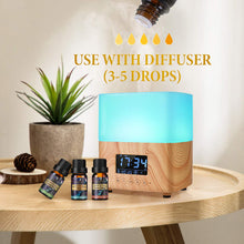 Carica l'immagine nel visualizzatore di Gallery, Oli Essenziali per Diffusori Top 6 Set - Aromaterapia Olio Essenziale... - Ilgrandebazar