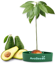 Carica l'immagine nel visualizzatore di Gallery, AvoSeedo Kit regalo da Giardinaggio per Avocado Green - Ilgrandebazar
