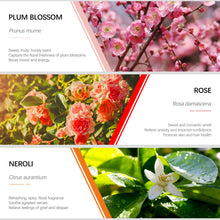 Carica l'immagine nel visualizzatore di Gallery, Oli Essenziali Aromaterapia,ESSLUX Fiori Per Diffusori Olio... - Ilgrandebazar