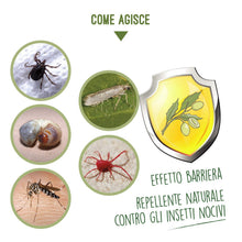 Carica l'immagine nel visualizzatore di Gallery, I Consigli Dell'Esperto Spray Olio di Neem Pronto all'Uso - Ilgrandebazar