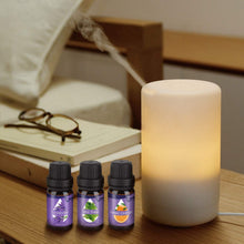 Carica l'immagine nel visualizzatore di Gallery, Oli Essenziali per Diffusori,Aromaterapia Set - Ilgrandebazar