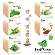 Carica l'immagine nel visualizzatore di Gallery, Feel Green Ecocube Set di Erbe con 5 varietà - 25% Risparmio nel Pacchetto,... - Ilgrandebazar
