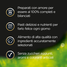 Carica l'immagine nel visualizzatore di Gallery, 1