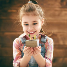 Carica l'immagine nel visualizzatore di Gallery, Feel Green Ecocube Set di Erbe con 5 varietà - 25% Risparmio nel Pacchetto,... - Ilgrandebazar