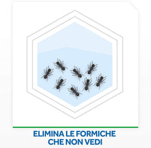 Carica l'immagine nel visualizzatore di Gallery, 7