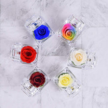 Carica l'immagine nel visualizzatore di Gallery, Luoistu Regalo San Valentino per lei Fiore Roses, Rose mai appassite in Red - Ilgrandebazar