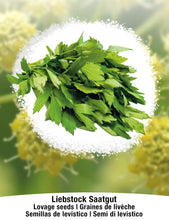 Carica l'immagine nel visualizzatore di Gallery, BIO Levistico - Set di semi piante erbe - interno/esterno - Ilgrandebazar