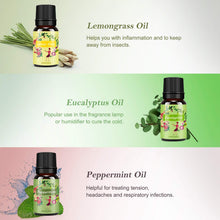 Carica l'immagine nel visualizzatore di Gallery, Oli Essenziali per Diffusori Top 6 Set - Aromaterapia Olio Essenziale Clear - Ilgrandebazar
