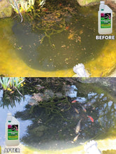 Carica l'immagine nel visualizzatore di Gallery, Envii Pond Klear - Trattamento per acque verdi che rende l'acqua dei 1 l - Ilgrandebazar