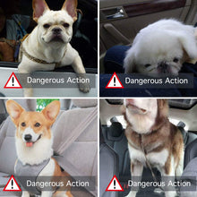 Carica l'immagine nel visualizzatore di Gallery, Minve Trasportino da viaggio per auto, cani e gatti, White/Black - Ilgrandebazar