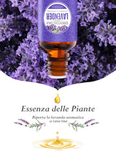 Carica l'immagine nel visualizzatore di Gallery, Homasy 15ml Olio Essenziale, 100% puro e Naturale Essenziale per - Ilgrandebazar