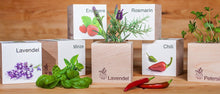 Carica l'immagine nel visualizzatore di Gallery, Extragifts ecocube Lavanda - piante nel cubo di legno viola - Ilgrandebazar
