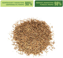 Carica l'immagine nel visualizzatore di Gallery, AVARA Champion - semi prato - resistente alla siccitá - indicato per qualsiasi luogo e terreno - 1kg
