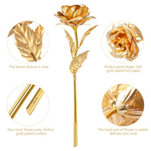 Carica l'immagine nel visualizzatore di Gallery, ETEREAUTY 24K Placcato Rosa Regalo, Artificiale Placcata con D'oro - Ilgrandebazar