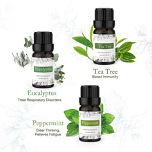 Carica l'immagine nel visualizzatore di Gallery, ASAKUKI Olio Essenziale 6 Set di Aromaterapia lavanda,... - Ilgrandebazar
