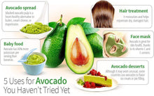 Carica l'immagine nel visualizzatore di Gallery, AvoSeedo Kit regalo da Giardinaggio per Avocado Green - Ilgrandebazar