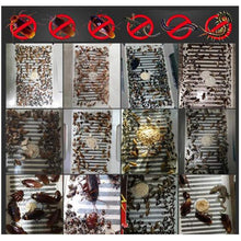 Carica l'immagine nel visualizzatore di Gallery, Trapweb Trappola Adesiva per scarafaggi, con Esca, Non tossica e Ecologica,... - Ilgrandebazar