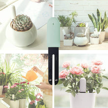Carica l'immagine nel visualizzatore di Gallery, Wanfei per Xiaomi Flower Care Soil Tester, Intelligent Plant Monitor... - Ilgrandebazar