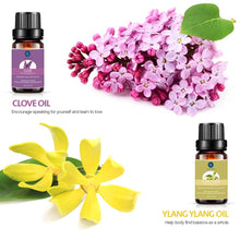 Carica l'immagine nel visualizzatore di Gallery, Lagunamoon Olio Essenziale per Diffusori, 10 Oli Essenziali Aromaterapia Pure - Ilgrandebazar