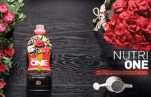Carica l'immagine nel visualizzatore di Gallery, NUTRI 1 ONE One Concime concentrato per Piante e Fiori, 1 lt