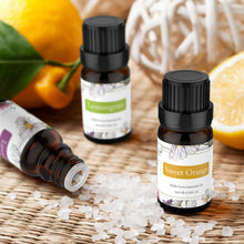 Carica l'immagine nel visualizzatore di Gallery, ASAKUKI Olio Essenziale 6 Set di Aromaterapia lavanda,... - Ilgrandebazar