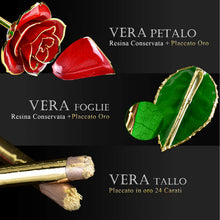 Carica l'immagine nel visualizzatore di Gallery, FORGIFTING Fiore di Vera Rosa Placcata con Oro 24K, Rose Rossa - Ilgrandebazar