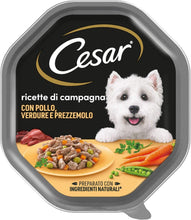 Carica l'immagine nel visualizzatore di Gallery, 12