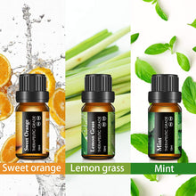 Carica l'immagine nel visualizzatore di Gallery, Skymore Set 6x10 ml di Oli Essenziali Puri, per Diffusori 15*10