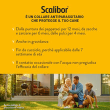 Carica l'immagine nel visualizzatore di Gallery, 13