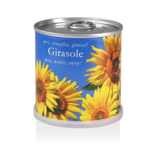 Carica l'immagine nel visualizzatore di Gallery, Extragifts Fiori in lattina - Girasole giallo - Ilgrandebazar