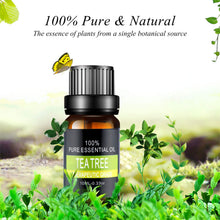 Carica l'immagine nel visualizzatore di Gallery, Olio Essenziale Set, Joylink Aromaterapia Biologici Puri... - Ilgrandebazar