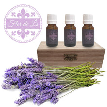 Carica l'immagine nel visualizzatore di Gallery, Olio Essenziale Flor De Lis Di Lavanda Puro, Set 3 bottiglie 10ml,... - Ilgrandebazar