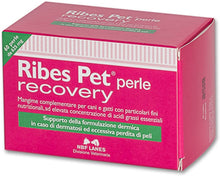 Carica l'immagine nel visualizzatore di Gallery, NBF Lanes Integratore Alimentare per Cani e Gatti Ribes-Pet Recovery 60 Perle