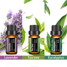 Carica l'immagine nel visualizzatore di Gallery, Skymore Set 6x10 ml di Oli Essenziali Puri, per Diffusori 15*10