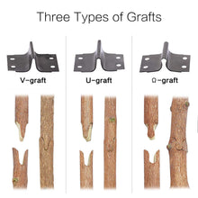 Carica l'immagine nel visualizzatore di Gallery, MoPei Kit 2 in 1 per innesto da potatura, V-Graft Grafting Tool