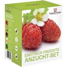 Carica l'immagine nel visualizzatore di Gallery, Thompson &amp; Morgan Crescere Kit Regalo Scatole - Esotico Frutta - Ilgrandebazar