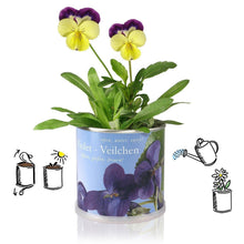 Carica l'immagine nel visualizzatore di Gallery, Extragifts Fiori in lattina - Viola viola - Ilgrandebazar