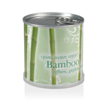 Carica l'immagine nel visualizzatore di Gallery, Extragifts Fiori in lattina - BAMBOO verde - Ilgrandebazar